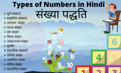 Types of Numbers in Hindi