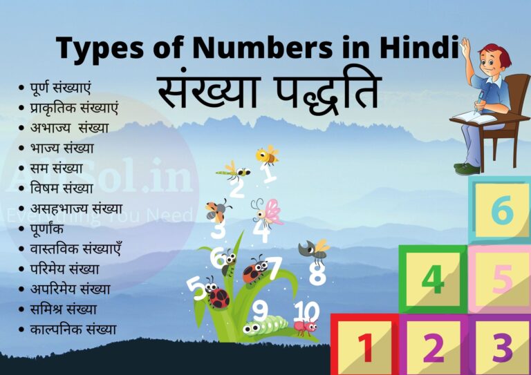 Types of Numbers in Hindi