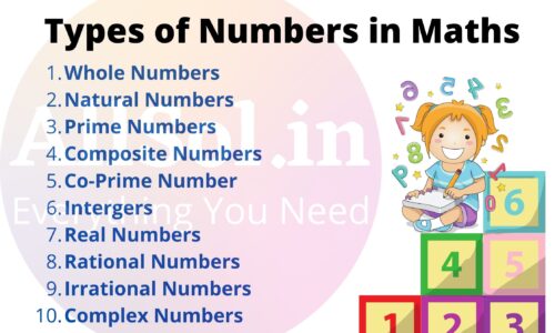 Types of Numbers in Maths