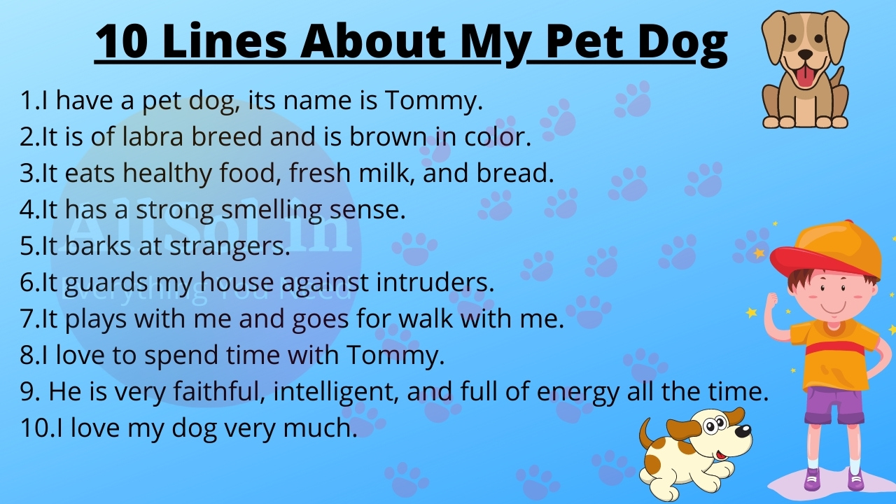 10 Sentences About My Pet Dog