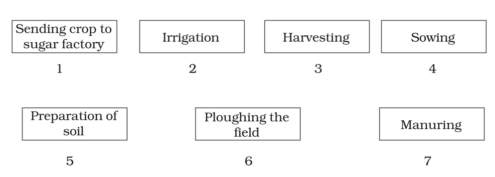Chapter 1 Crop Production and Management class 8
