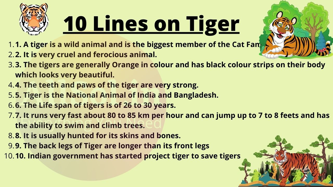 10 Lines on Tiger