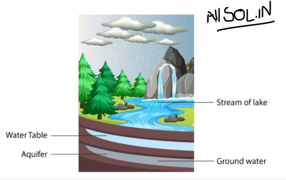 Make a sketch showing groundwater and water table