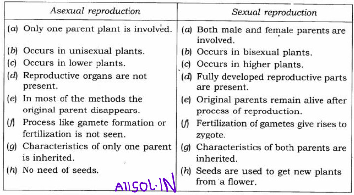 State the main difference between asexual and sexual reproduction.