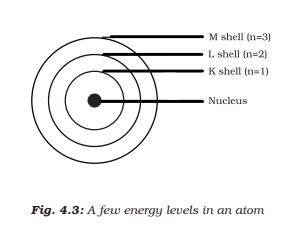 Draw a sketch of Bohr’s model of an atom with three shells
